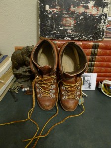 Danner 30520 Leather Mountain Light Vintage Boots