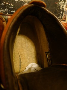 Danner 30520 Leather Mountain Light Vintage Boots